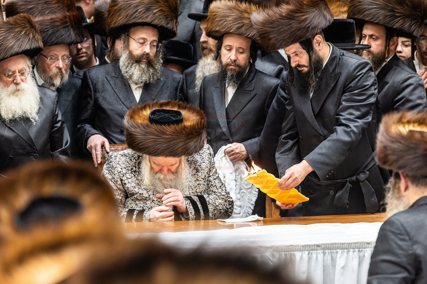 הילולא קדישא בבאבוב