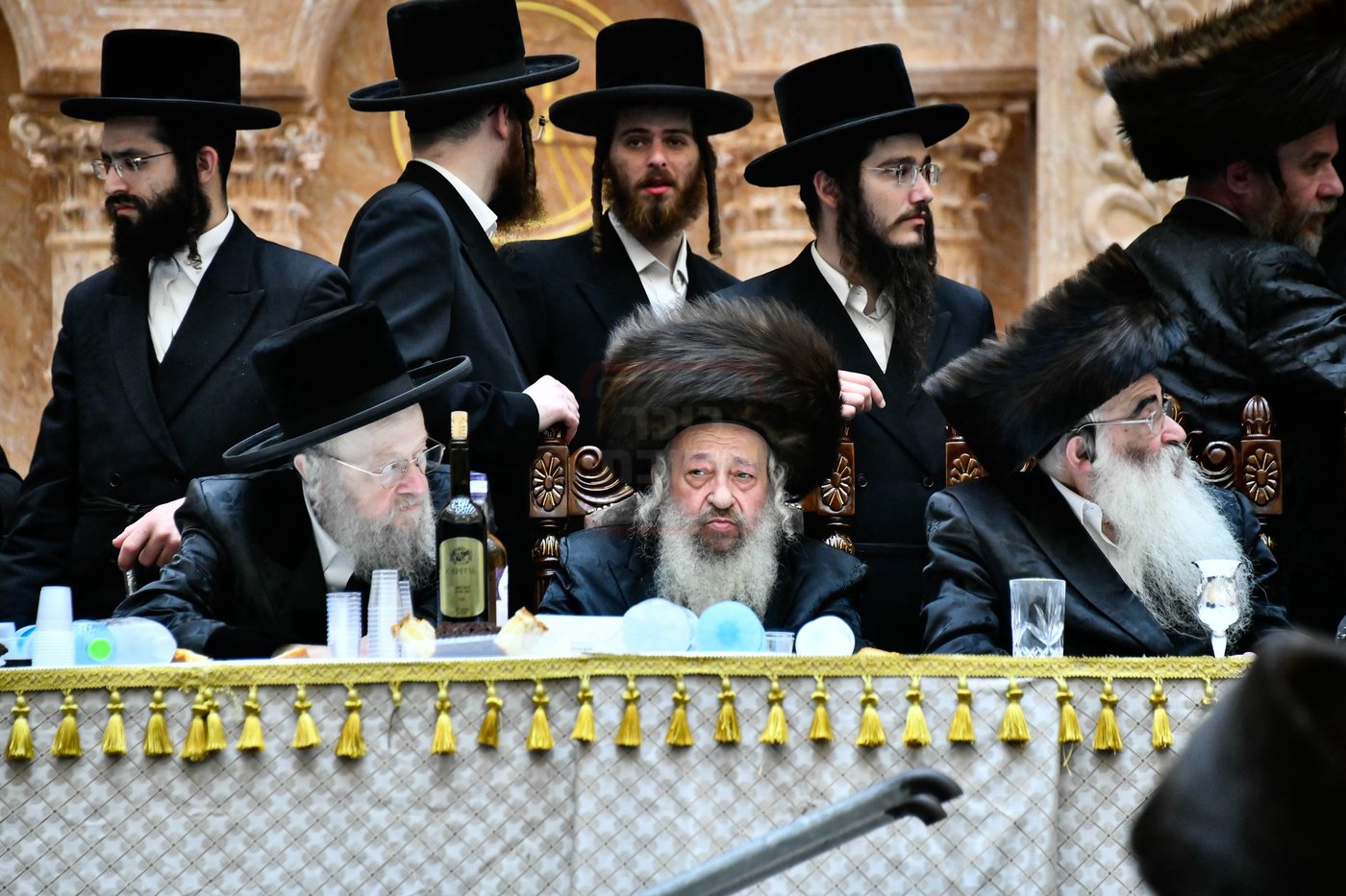 שמחת בית ויז'ניץ