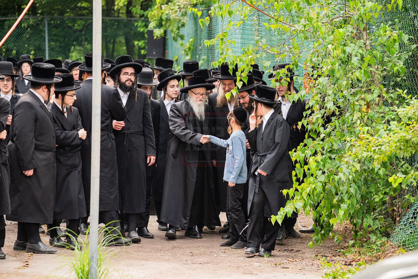 מעמד שחיטת כבש הפדיון במחנה ישיבת סערדאהעלי