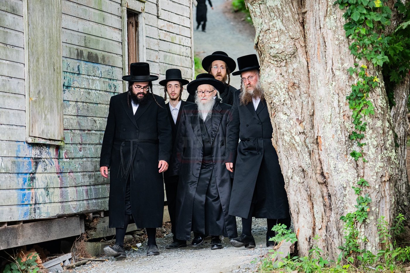 מעמד שחיטת כבש הפדיון במחנה ישיבת סערדאהעלי