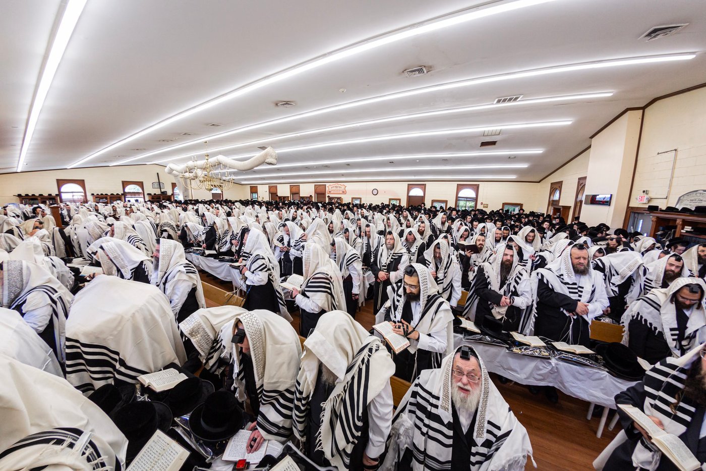 ראש חודש אלול בצל האדמו"ר מבאבוב