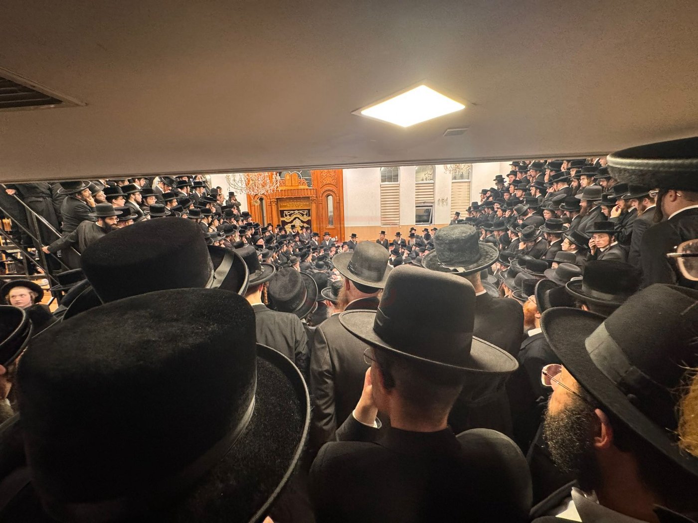 מעמד קבלת פנים לאדמו"ר מויז'ניץ לונדון
