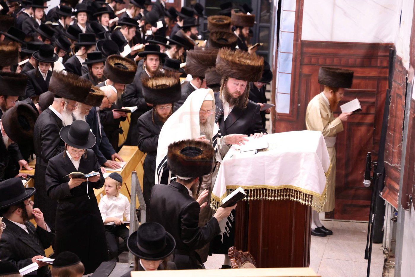 סליחות ראשונות בחצה"ק פינסק קרלין