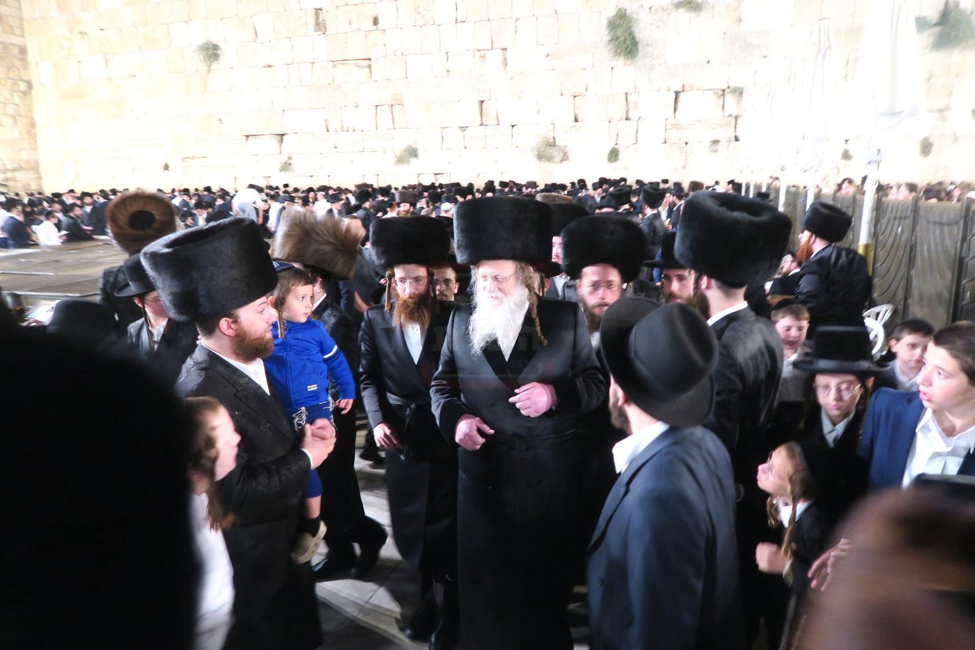 האדמו"ר ממודז'יץ בתפילה ע"י ה'כותל המערבי'