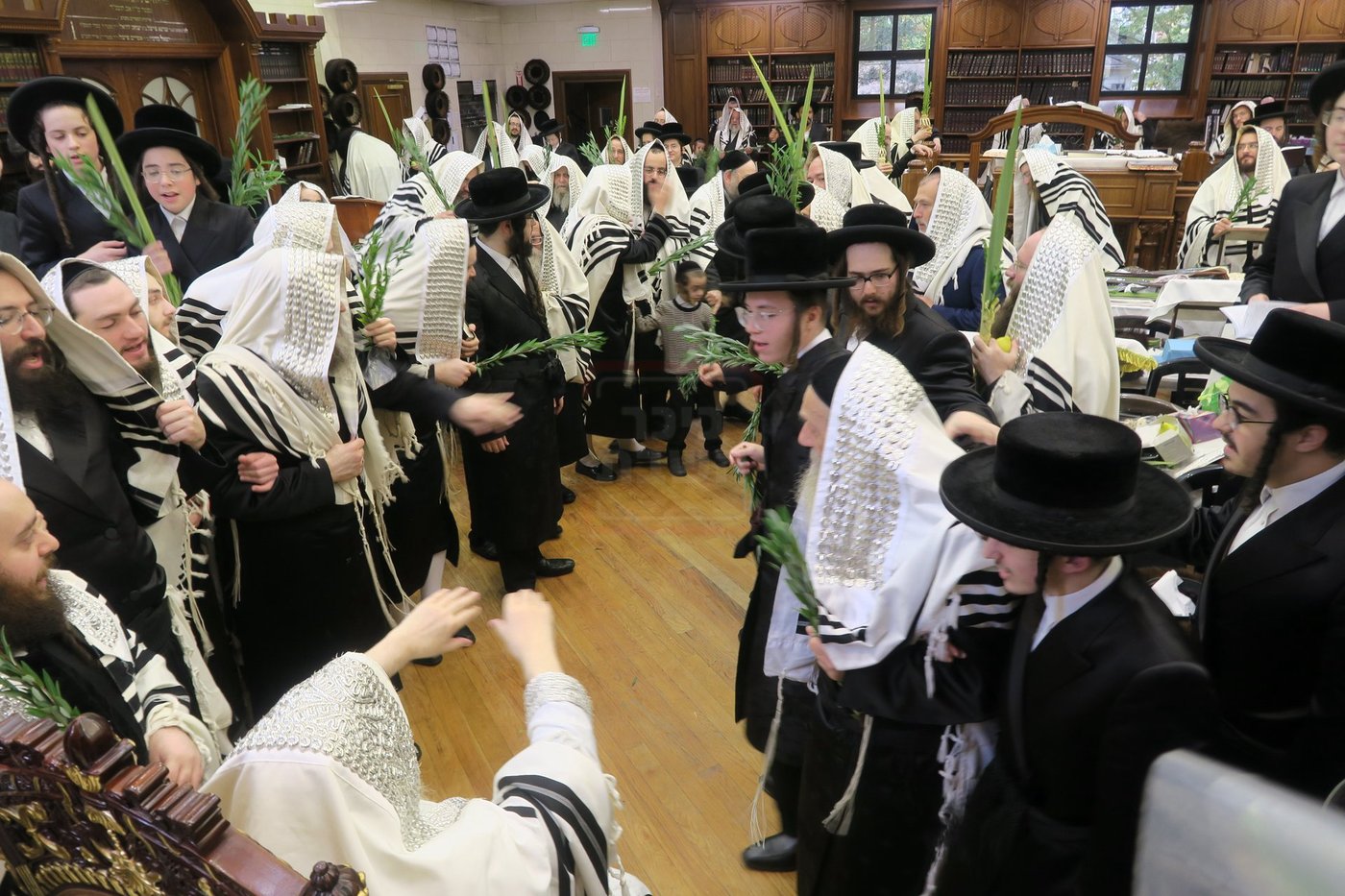 ירח האיתנים בחצה"ק ניקלשבורג