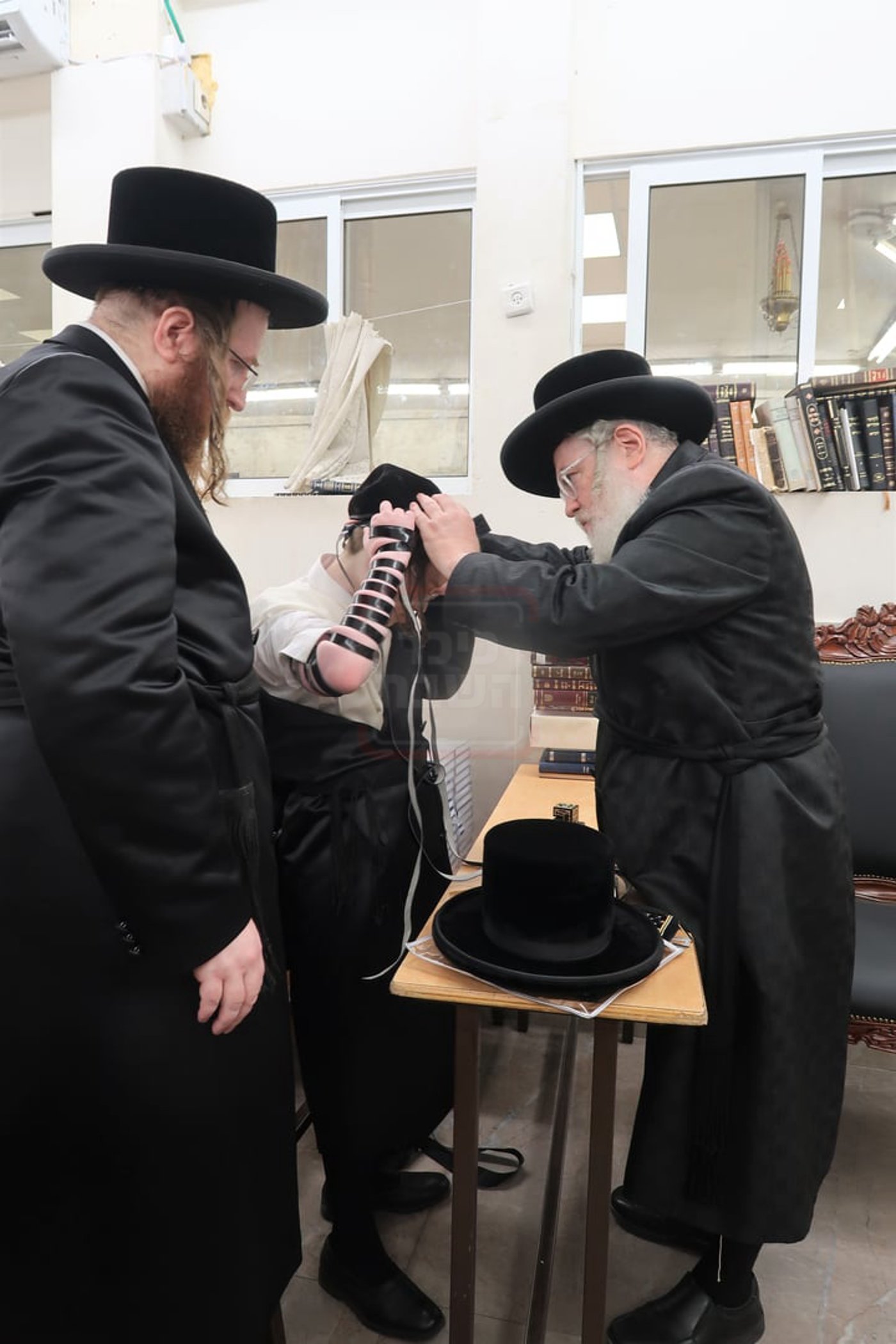 הנחת תפילין לנכד גאב"ד פרדס כץ
