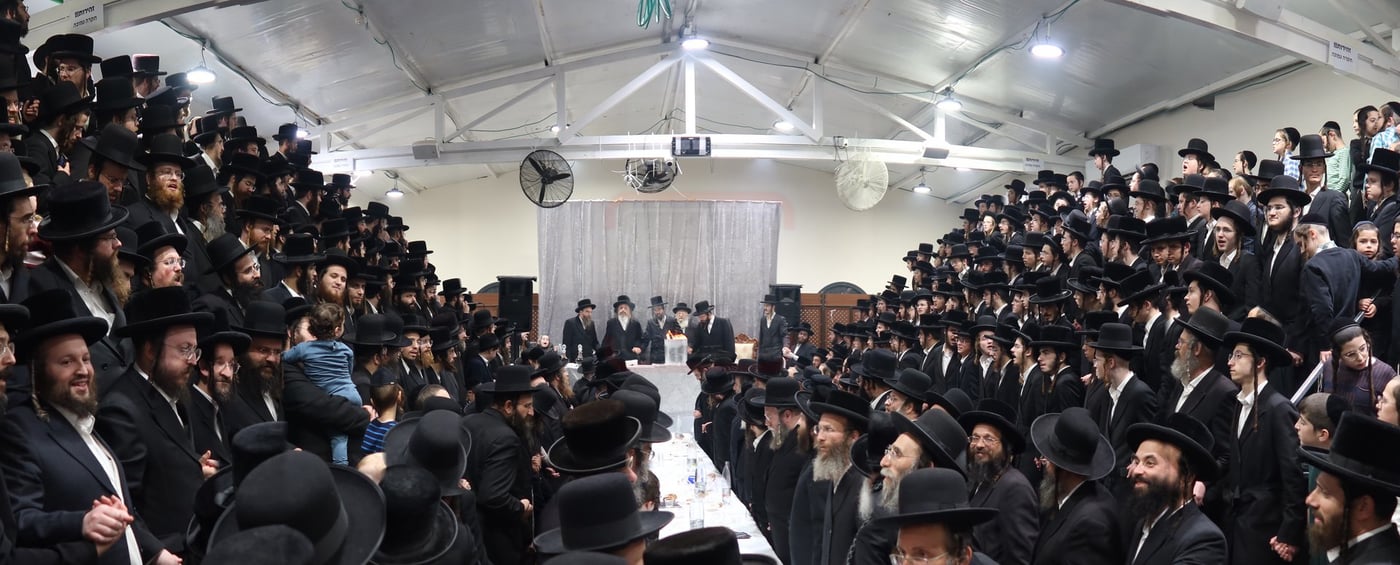 זאת חנוכה בחצה"ק זוויעהיל