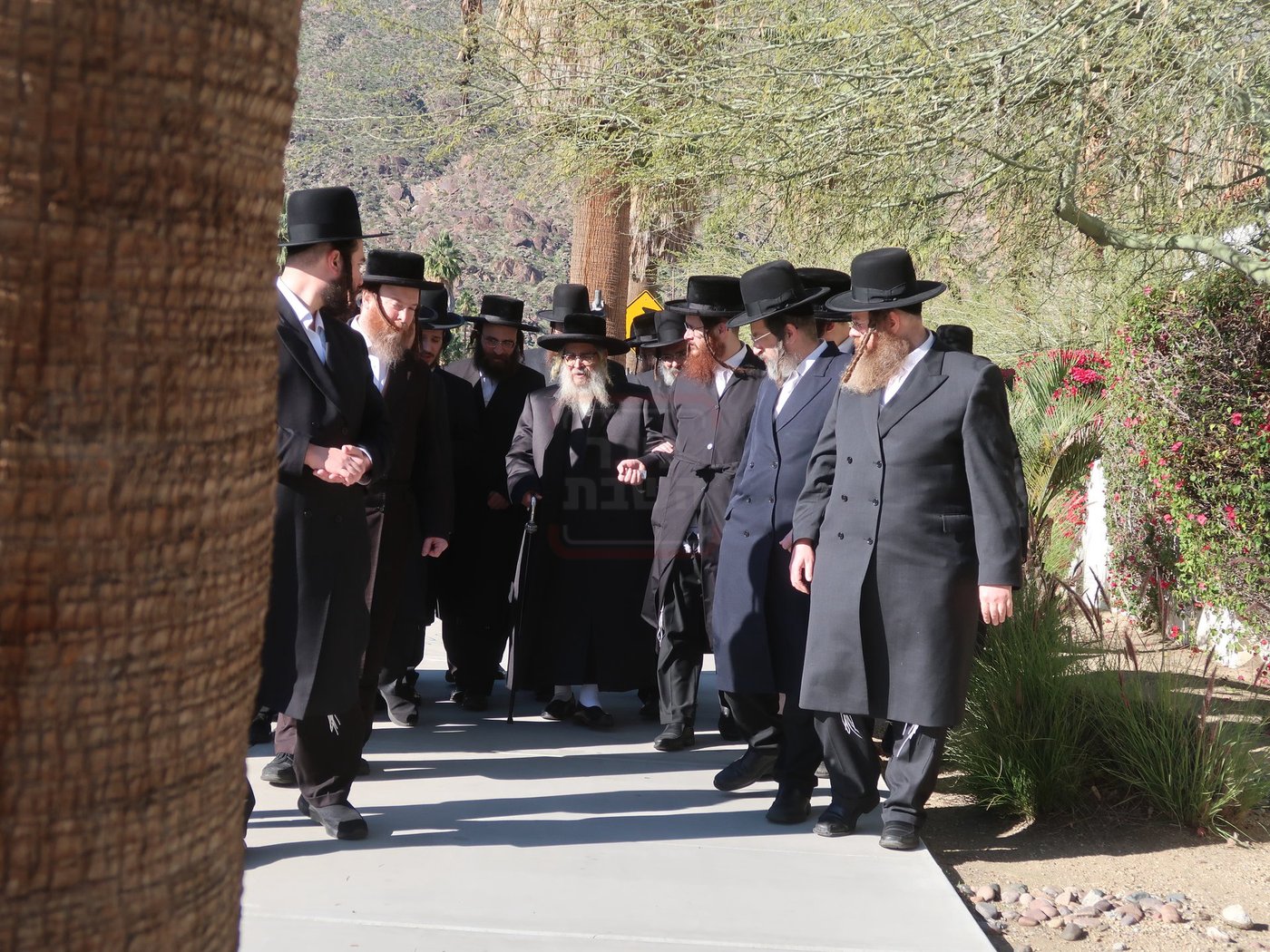 האדמו"ר מסאטמר במנוחה בפאלם ספרינגס