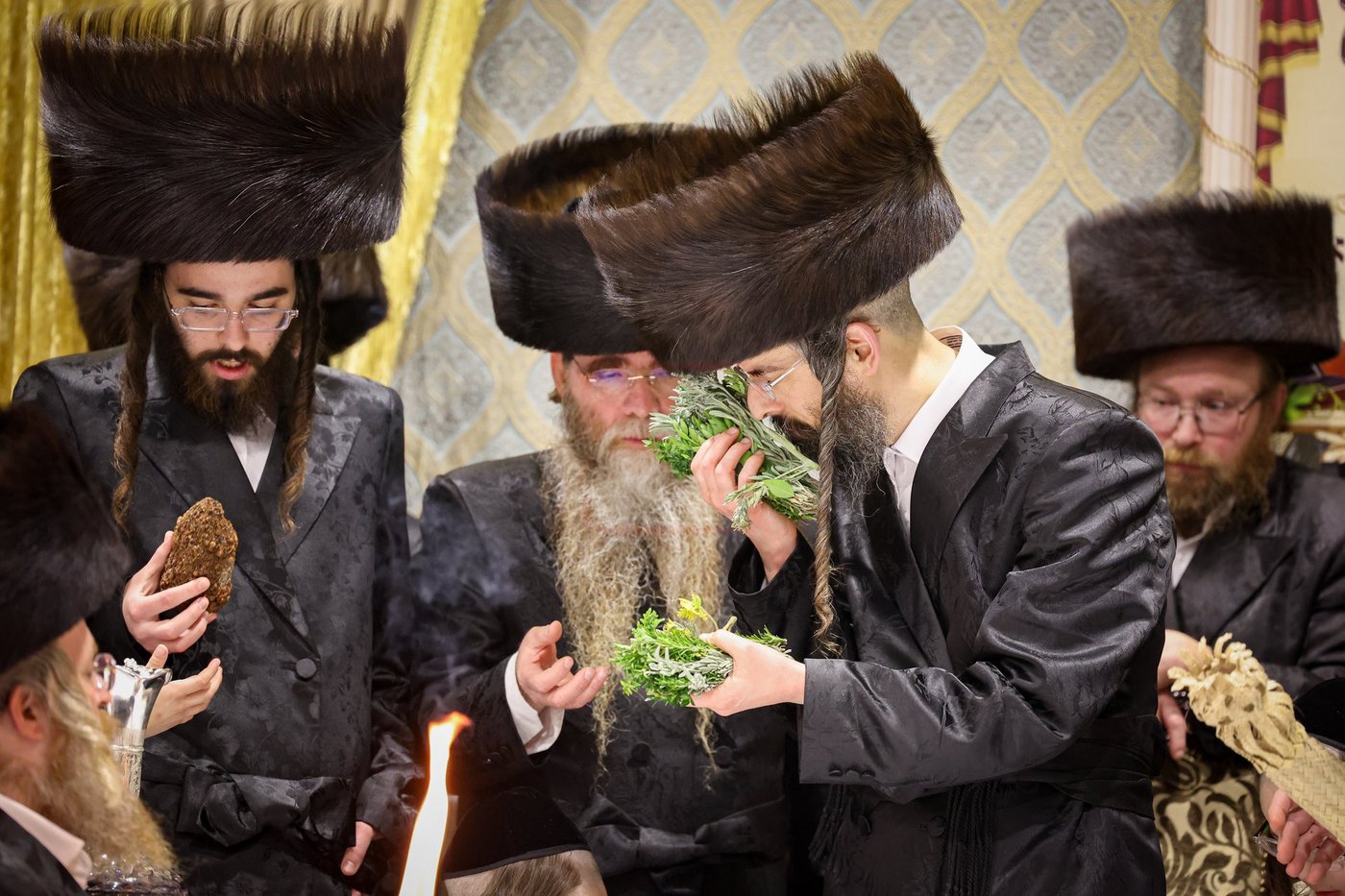 שבת אופריף בחצה"ק זוועהיל