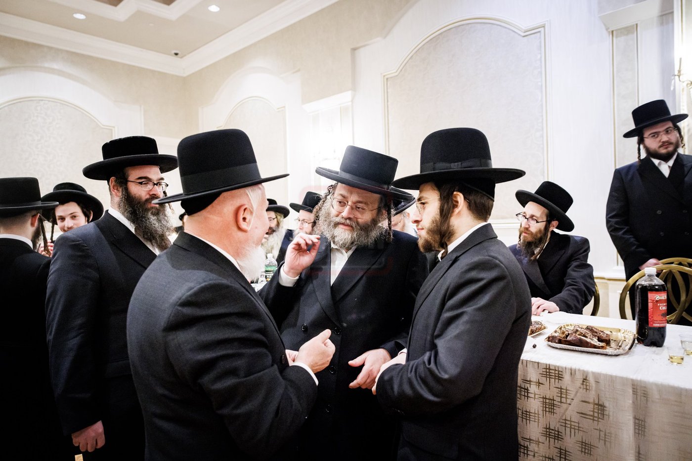 שמחת התנאים בבית סאטמאר - סיגוט - ספינקא - פאפא בארא פארק