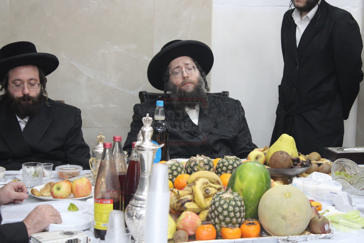 ט"ו בשבט בחצה"ק צאנז ז'ימגראד