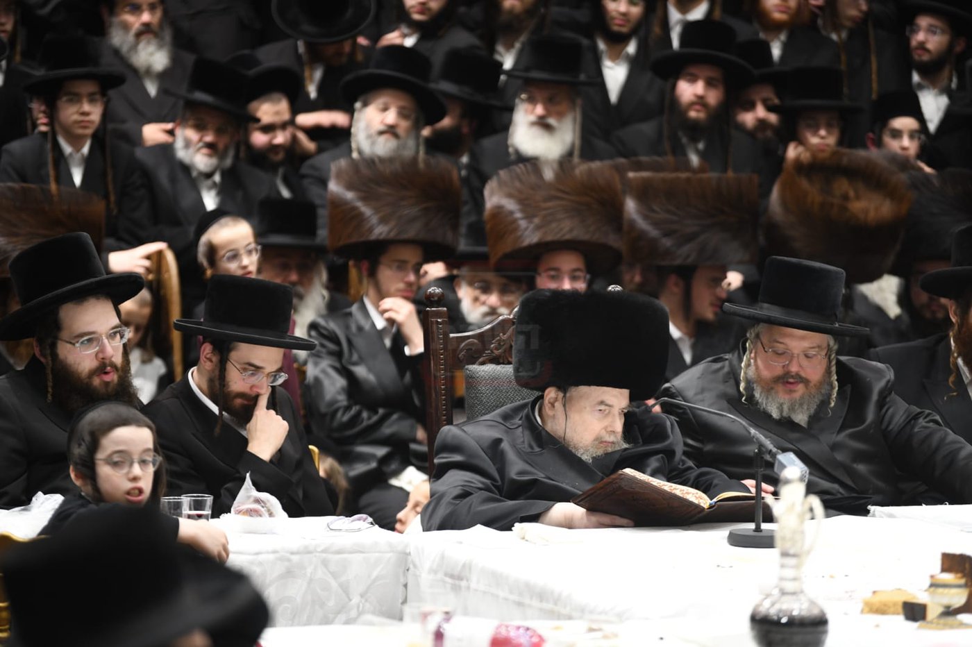 האדמו"ר מבעלזא בטיש ט"ו בשבט 