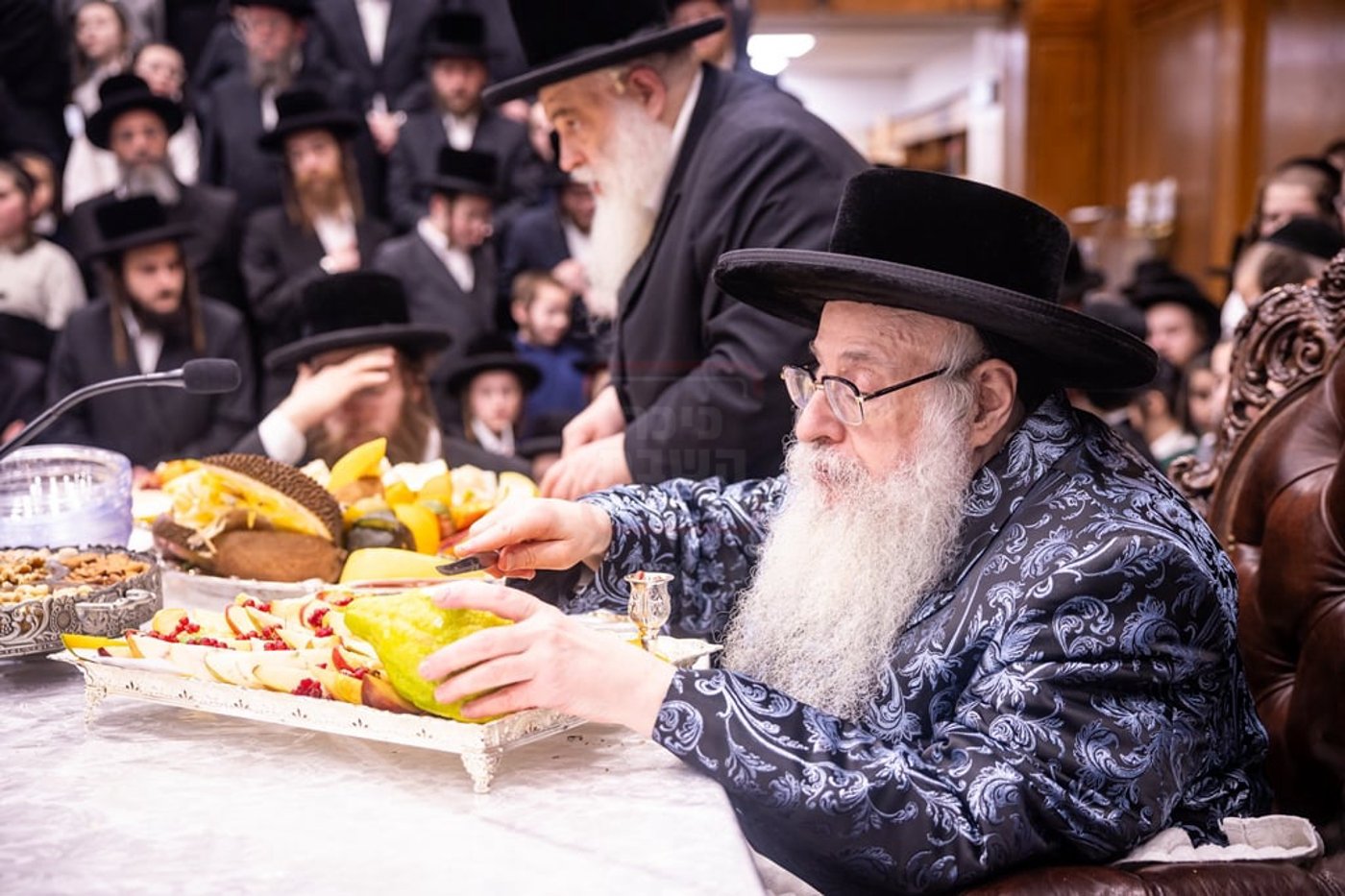 חמשה עשר בשבט בחצר הקודש צאנז קלויזענבורג