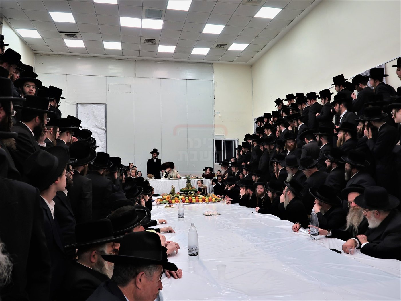 ט"ו בשבט בחצה"ק נדבורנה ירושלים