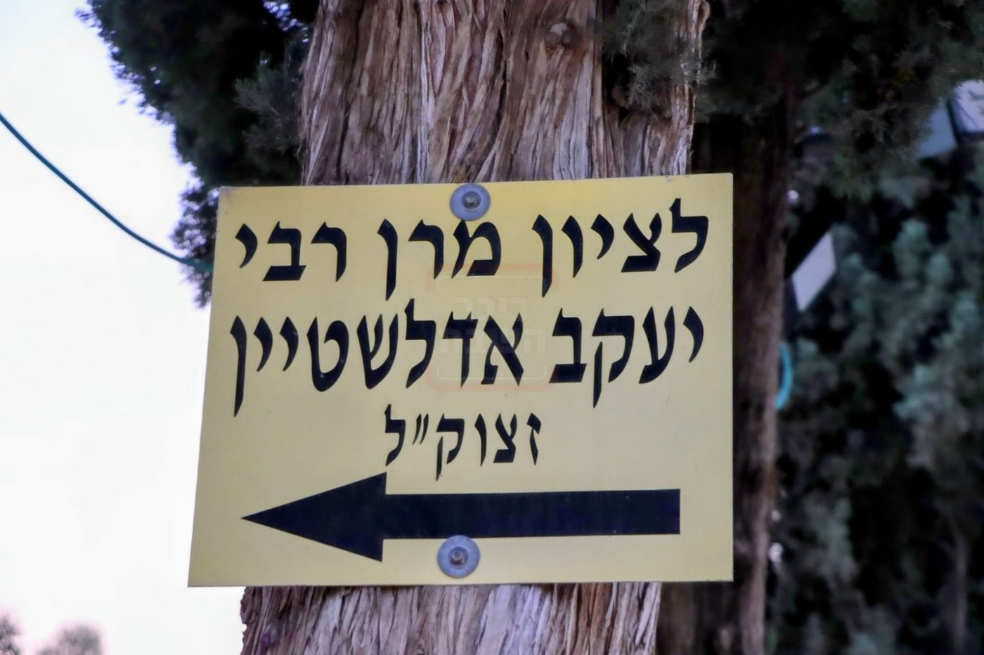 הילולת הגר"י אדלשטיין זצ"ל