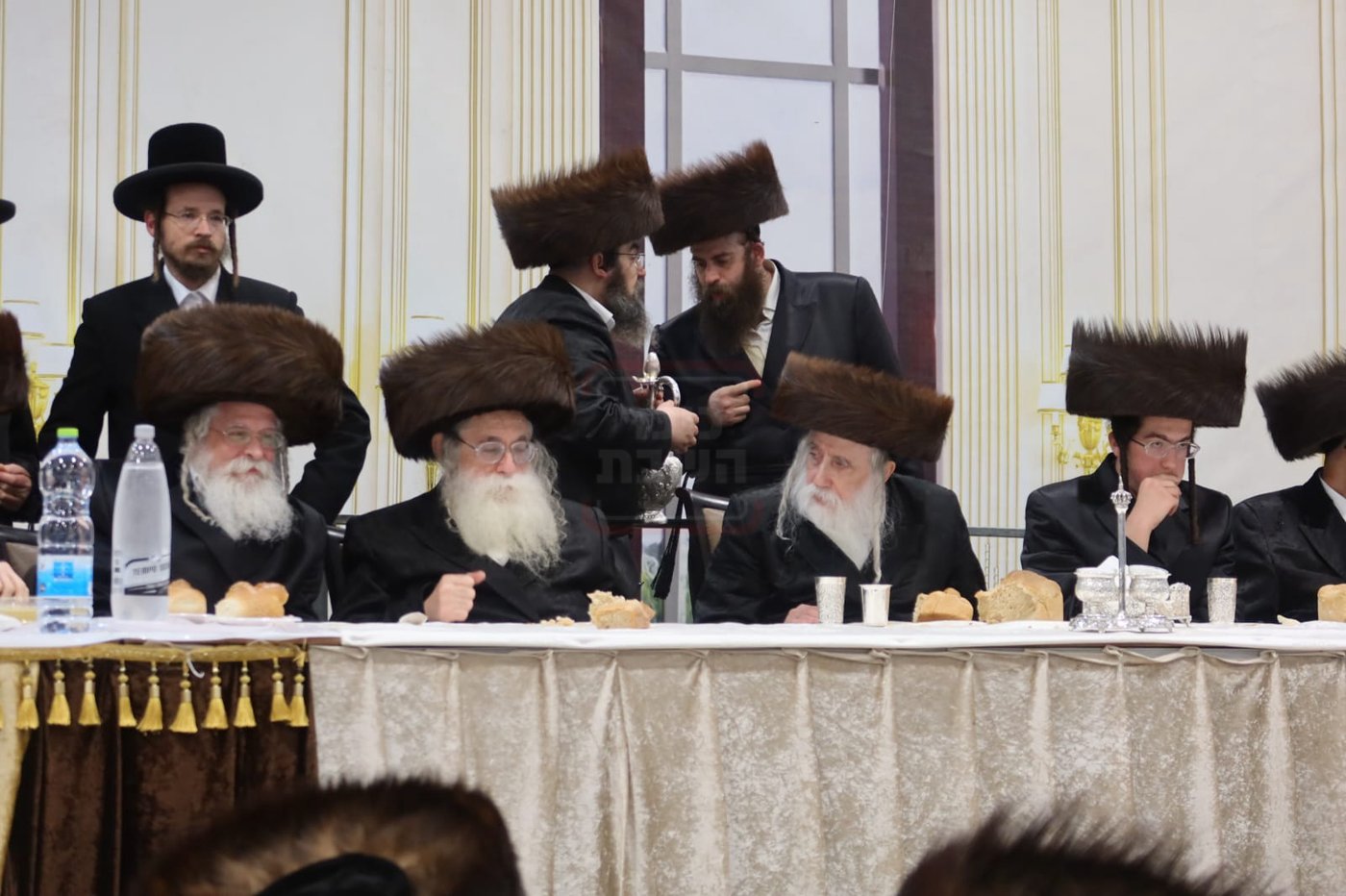 חתן מאל בחצה"ק מכנובקא בעלזא
