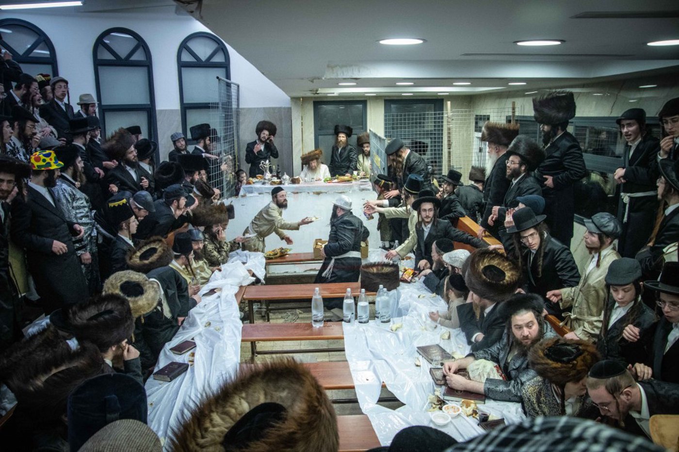 שושן פורים בחצה"ק ניקלשבורג