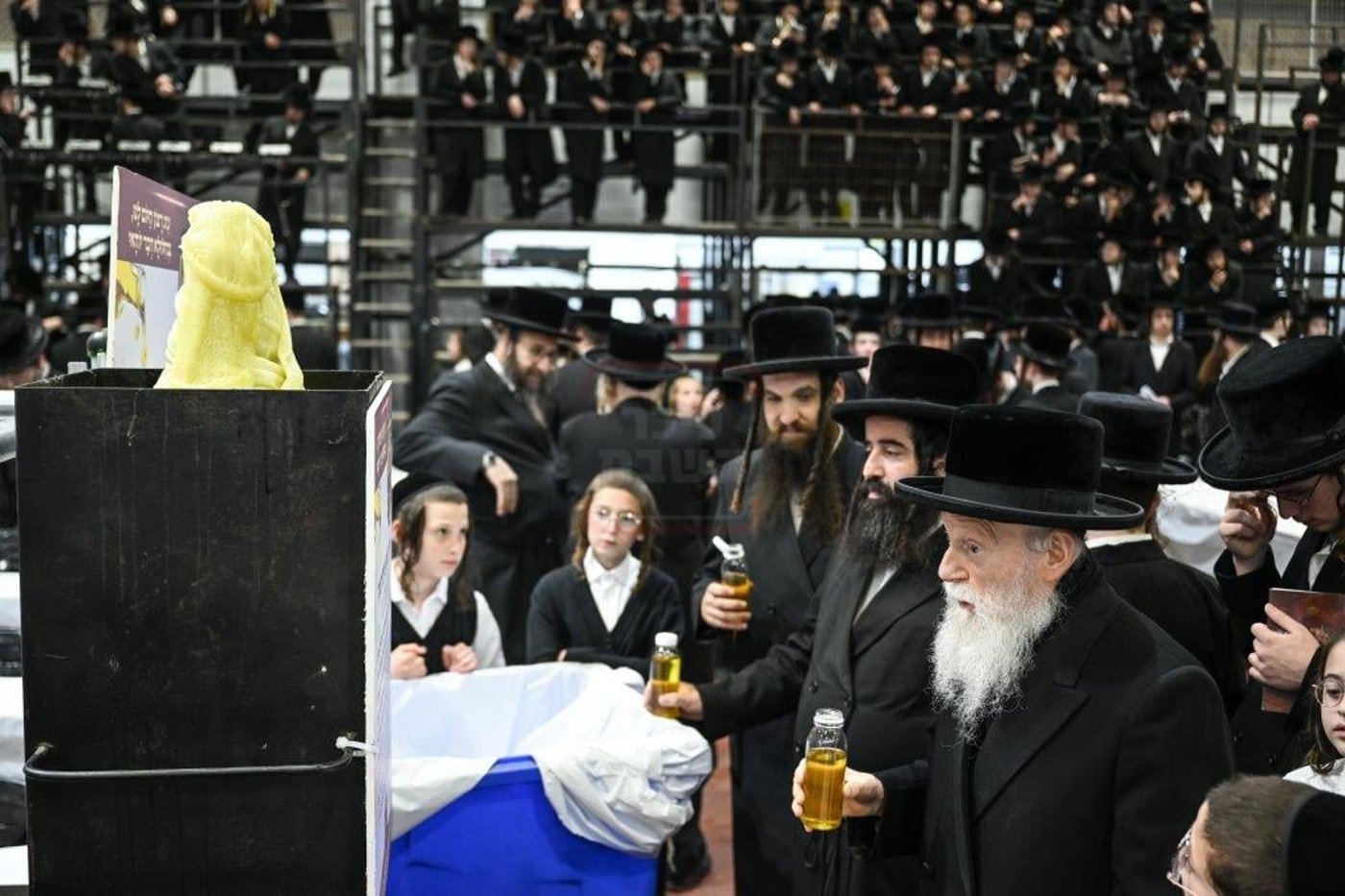 ל"ג בעומר בחצה"ק צאנז