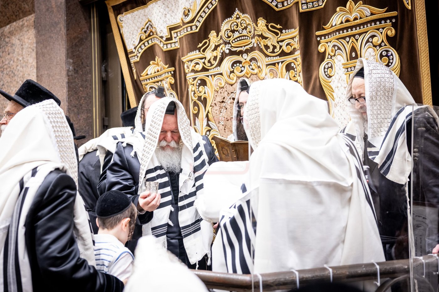 שמחת הברית לנין האדמו"ר מבאבוב