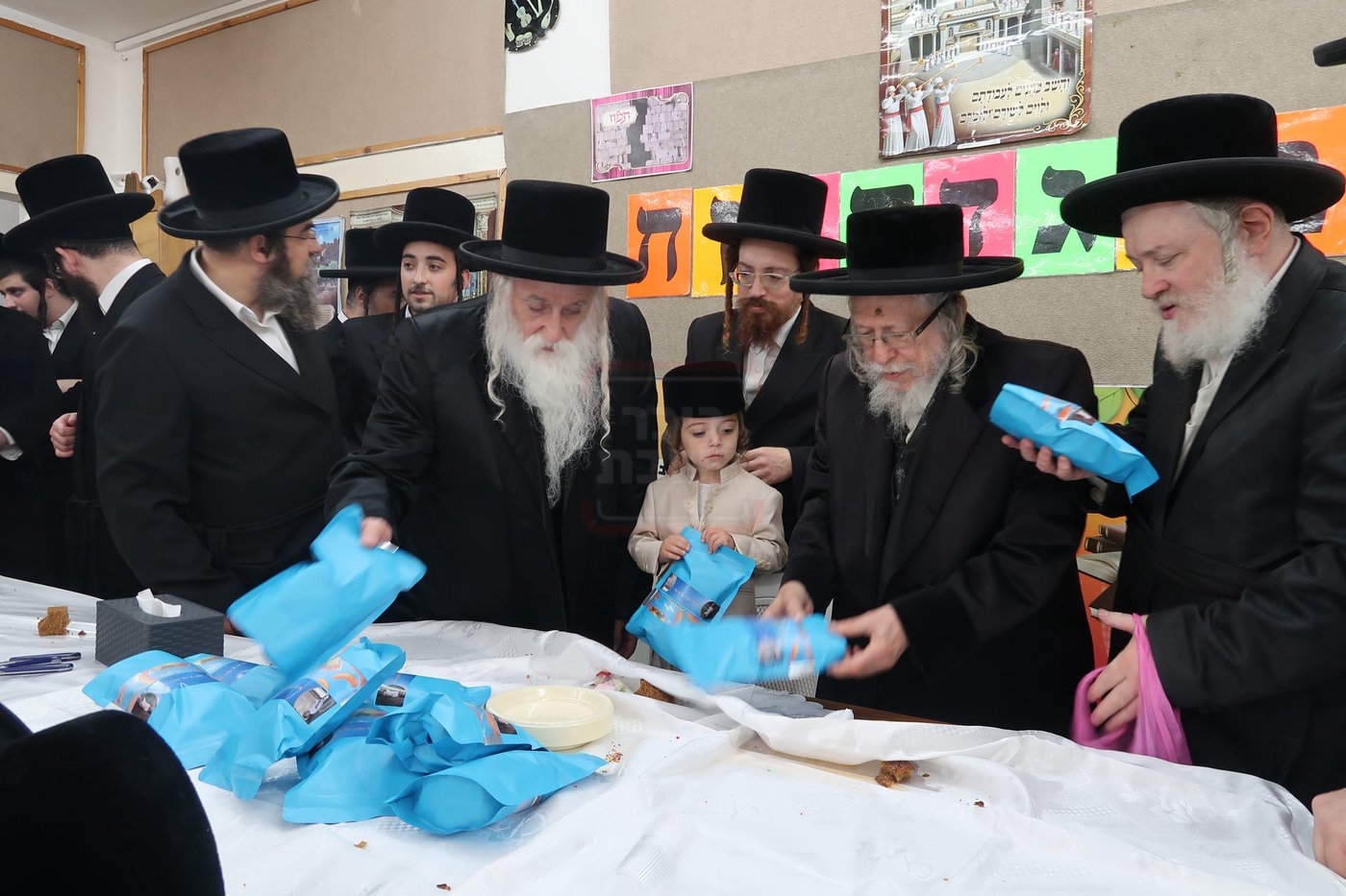 מעמד הכנסת נין האדמו"ר ממכנובקא בעלזא לת"ת