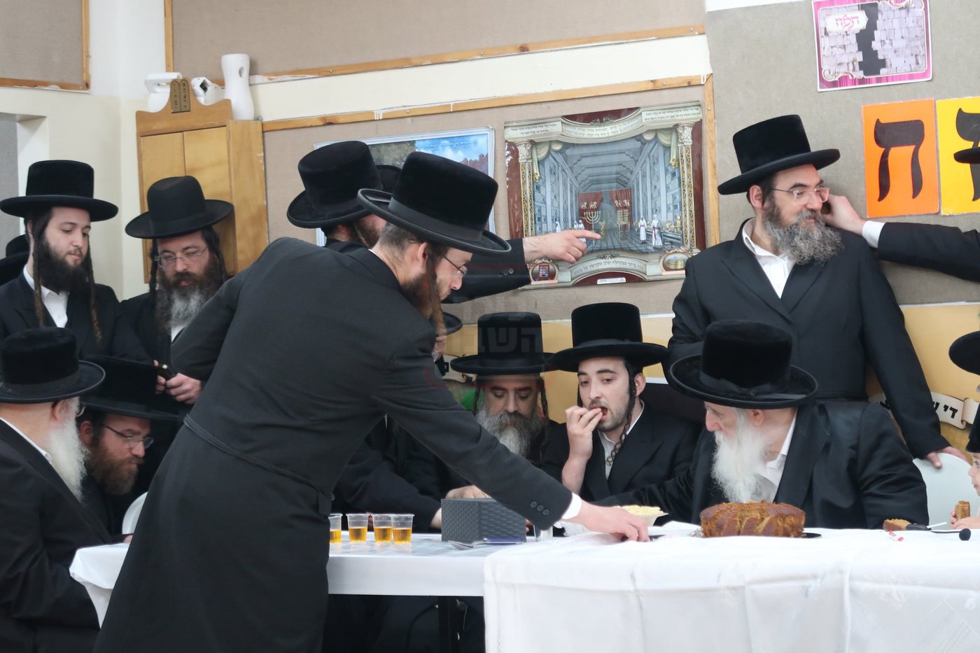 מעמד הכנסת נין האדמו"ר ממכנובקא בעלזא לת"ת