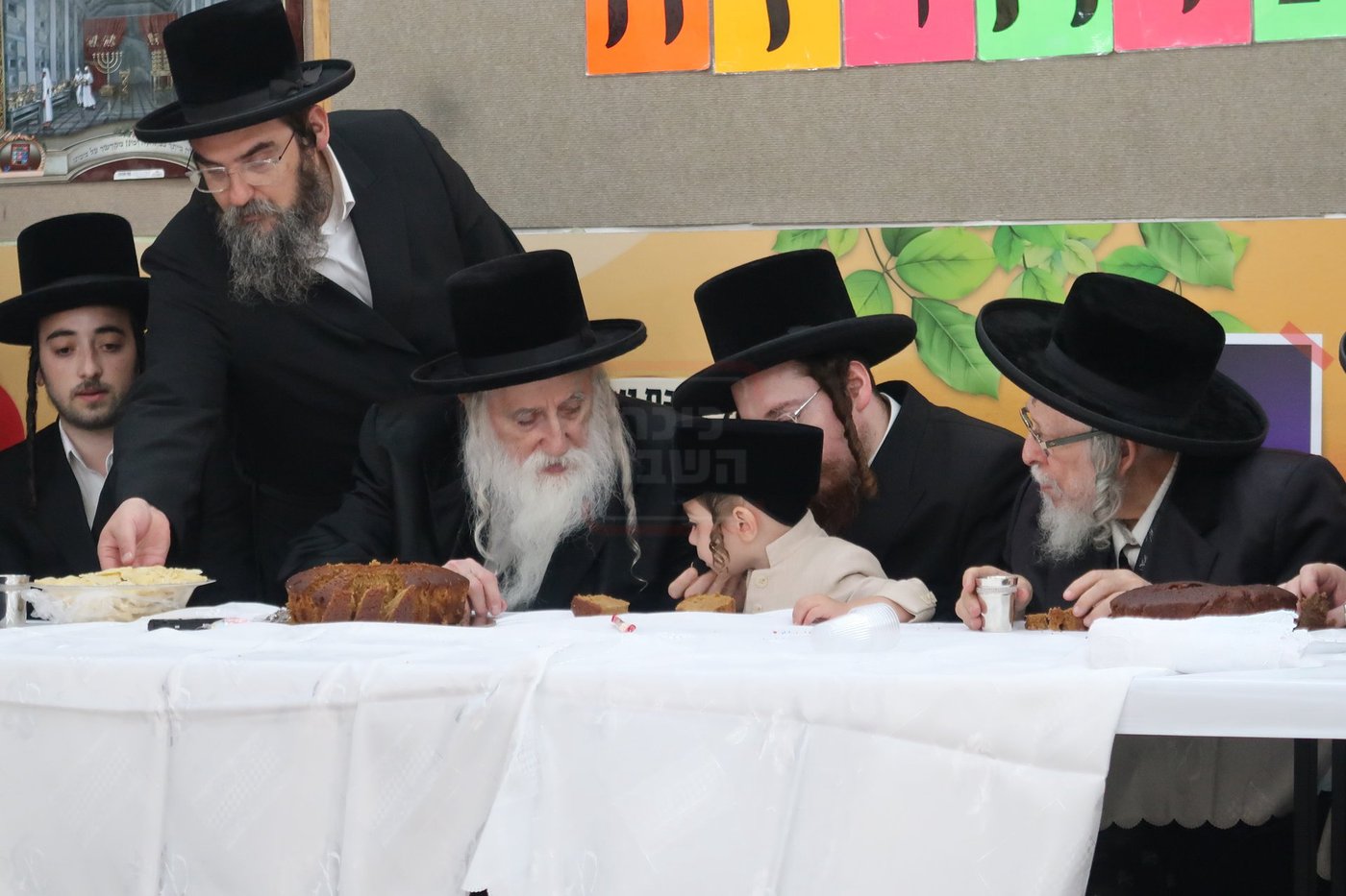מעמד הכנסת נין האדמו"ר ממכנובקא בעלזא לת"ת
