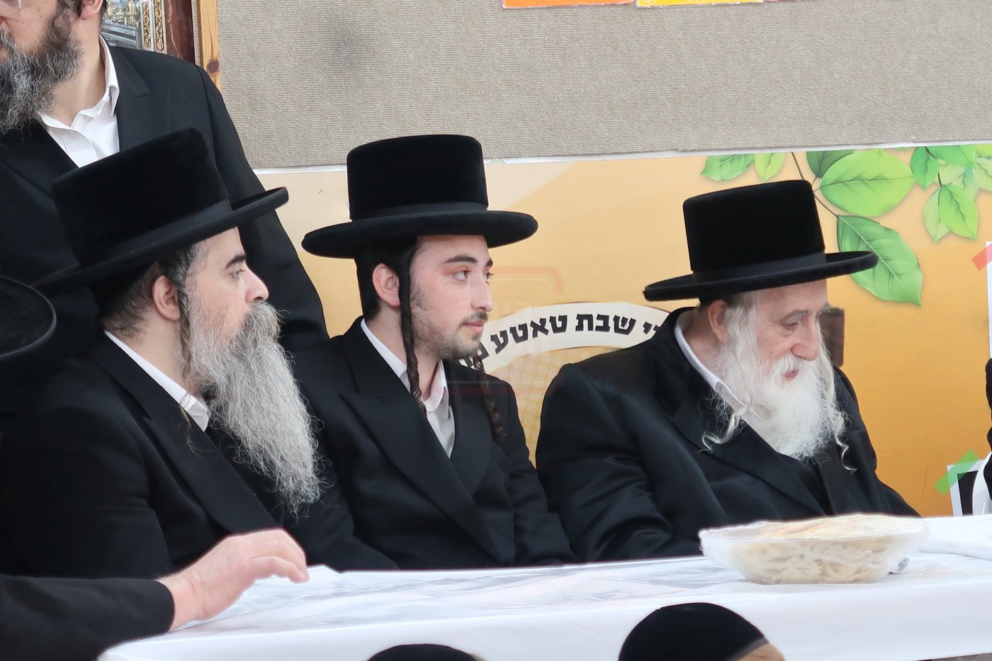 מעמד הכנסת נין האדמו"ר ממכנובקא בעלזא לת"ת