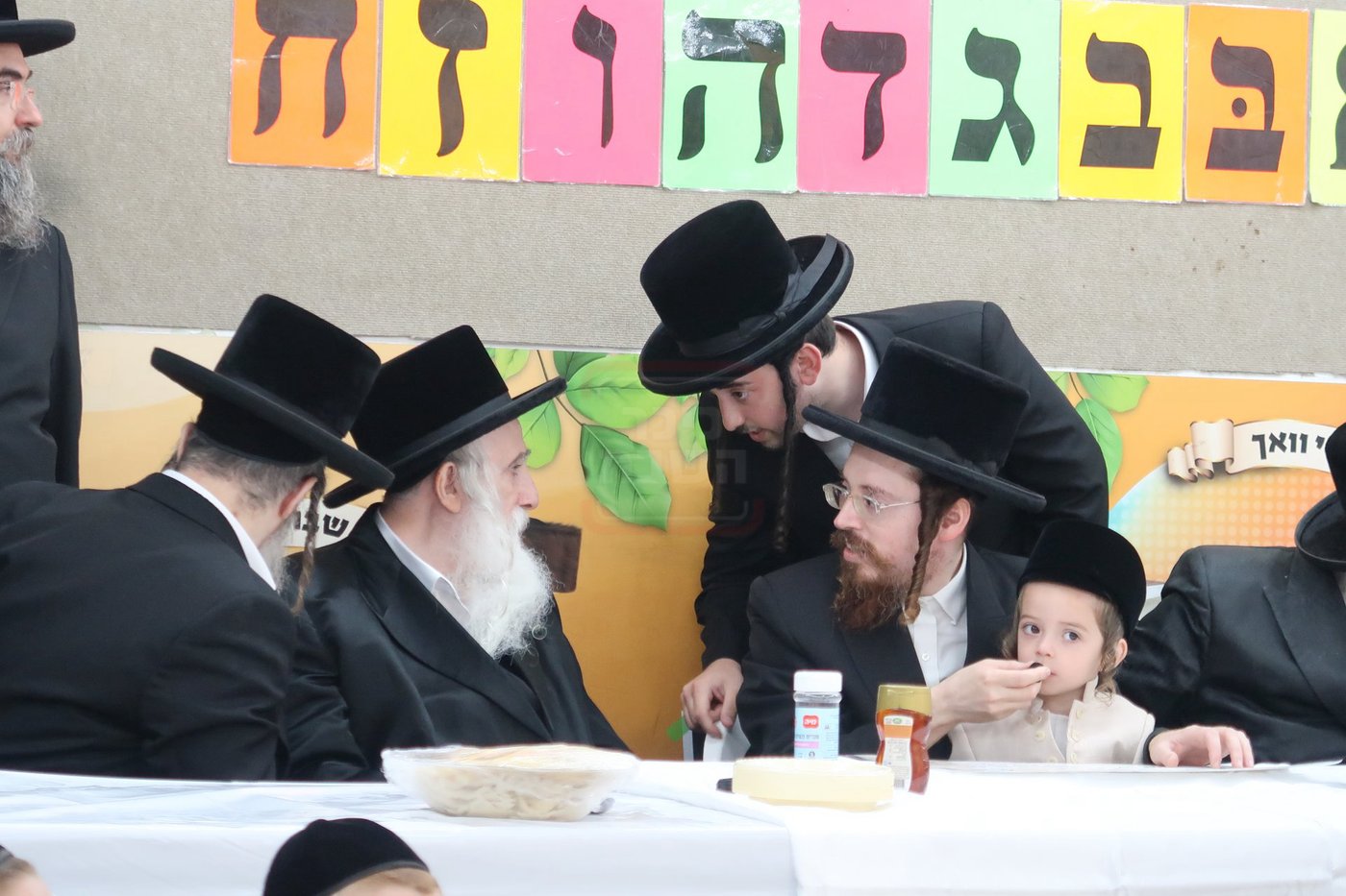 מעמד הכנסת נין האדמו"ר ממכנובקא בעלזא לת"ת