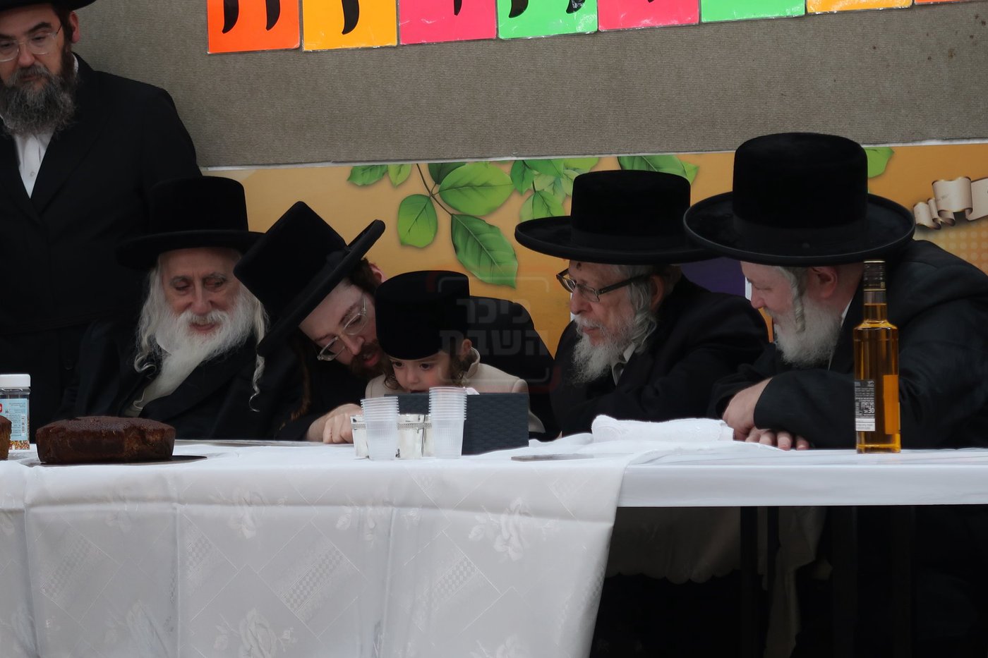 מעמד הכנסת נין האדמו"ר ממכנובקא בעלזא לת"ת
