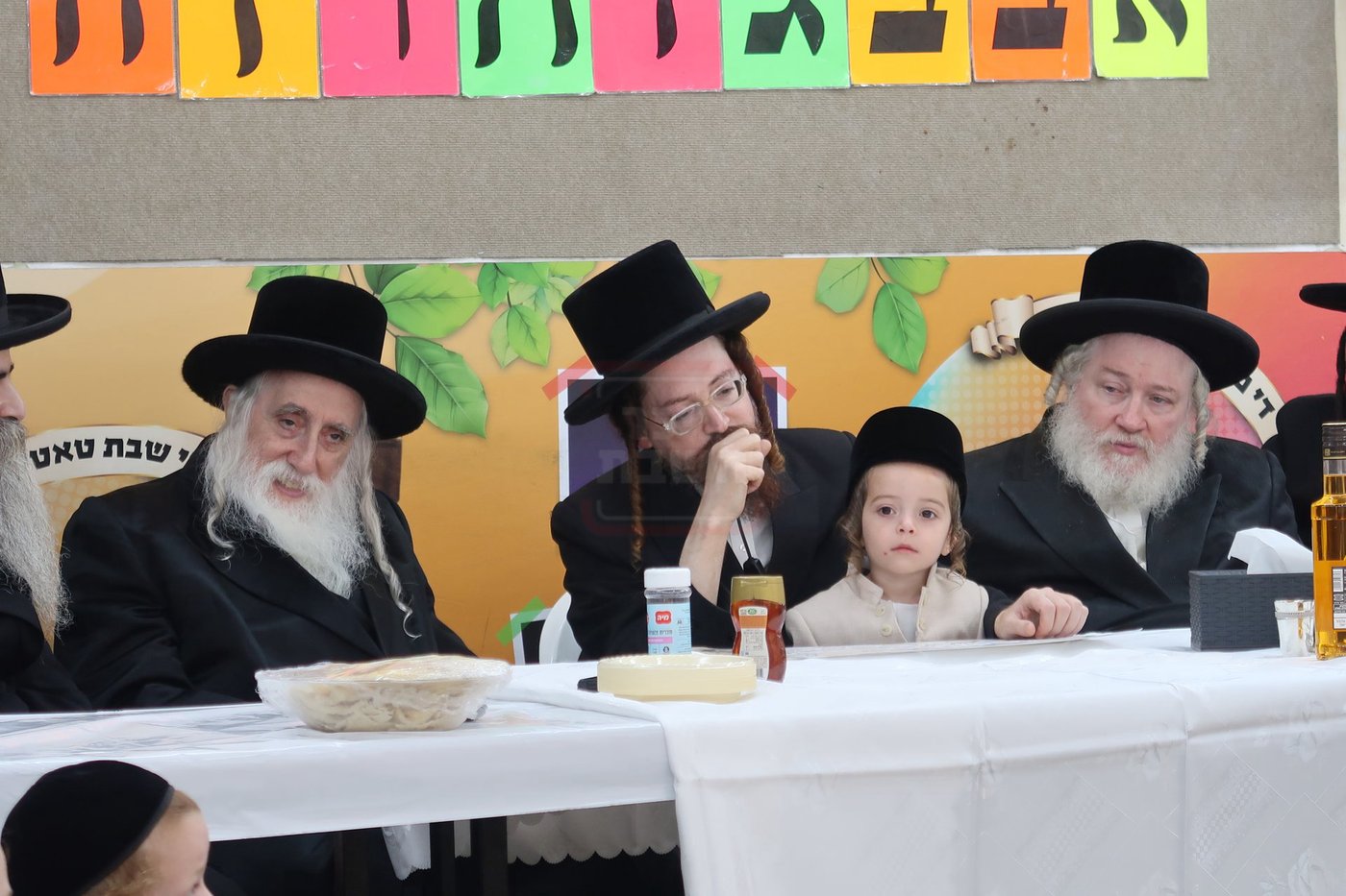 מעמד הכנסת נין האדמו"ר ממכנובקא בעלזא לת"ת