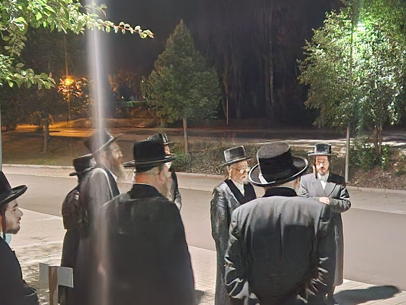 האדמו"ר מסערט ויז'ניץ בנאות דשא באוסטריה