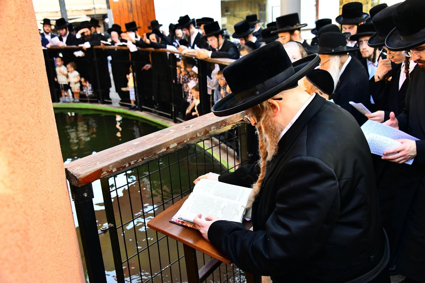 האדמו"ר משומרי אמונים שליט"א בתשליך