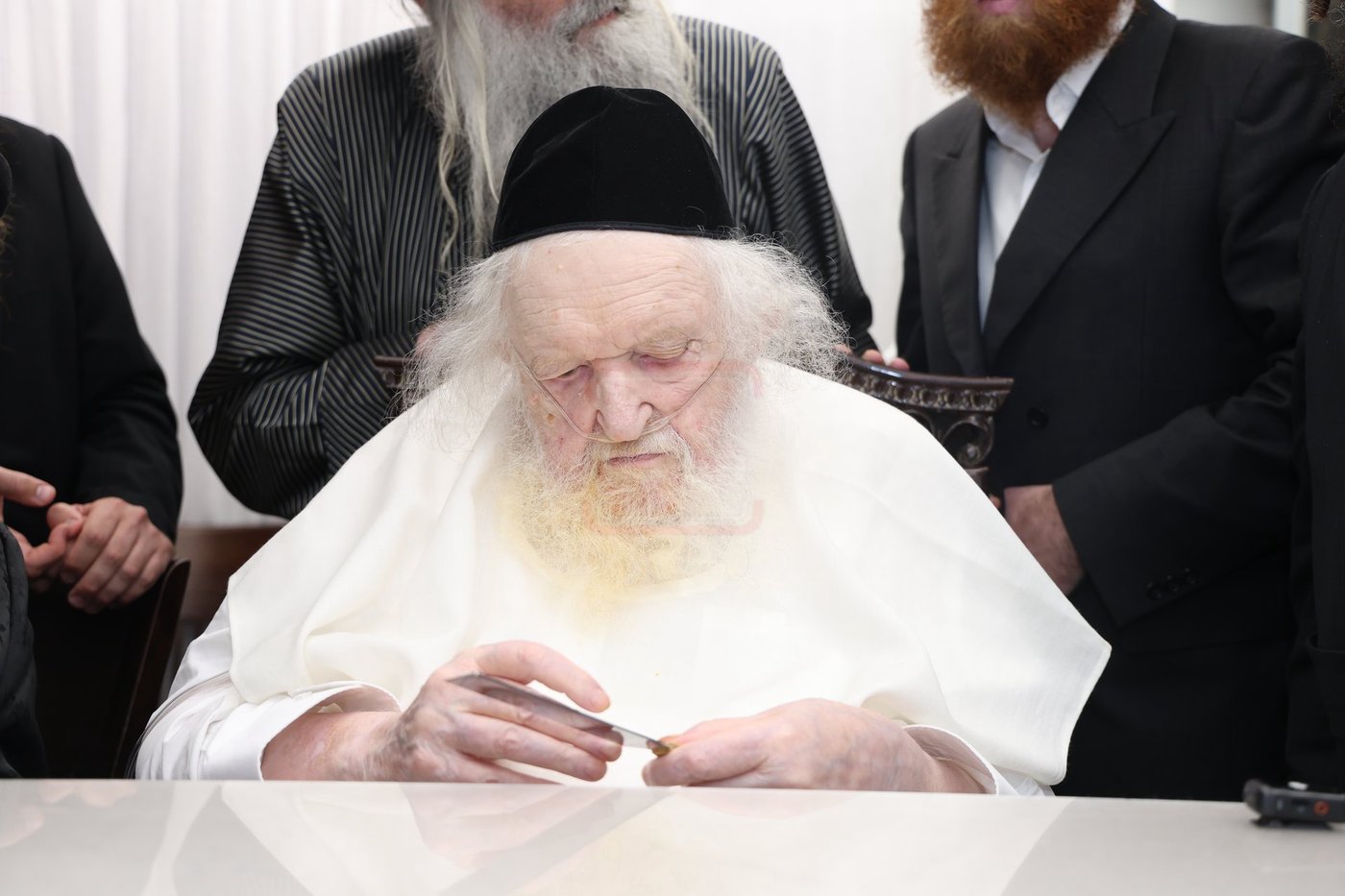 מרן הגר"מ שטרנבוך שליט"א בבדיקת סכיני השחיטה