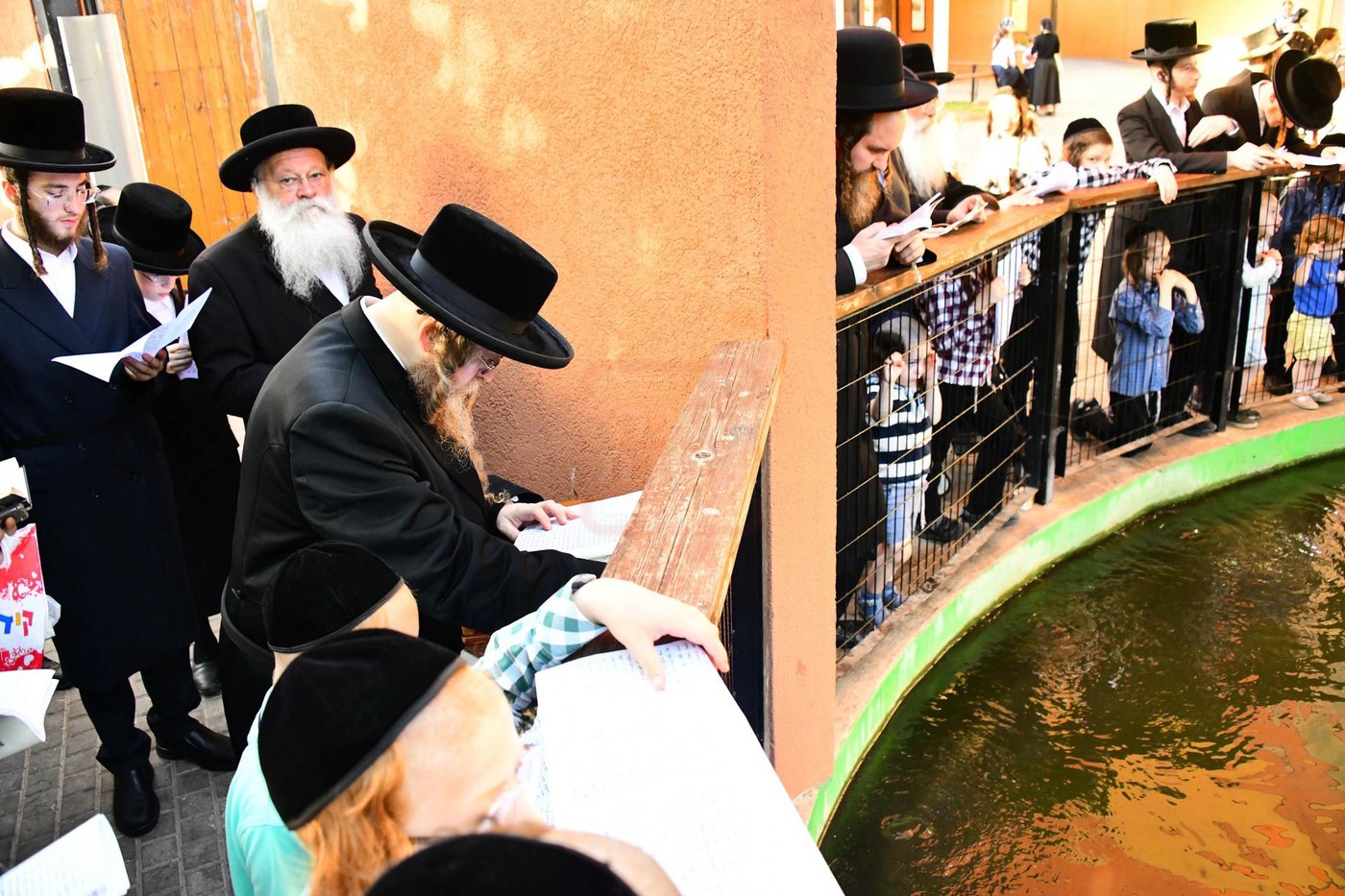 האדמו"ר משומרי אמונים שליט"א בתשליך