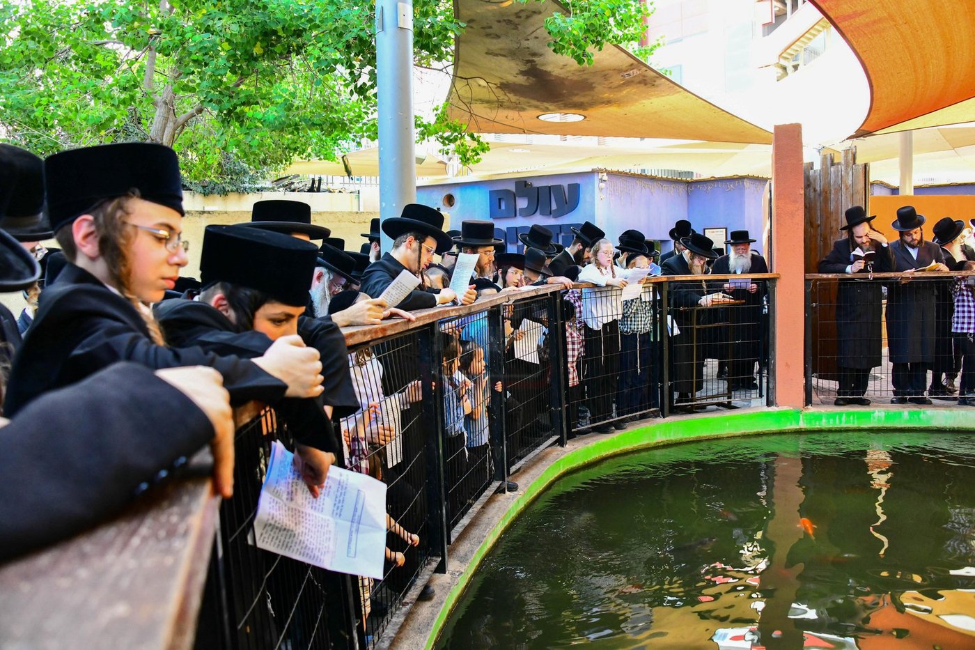 האדמו"ר משומרי אמונים שליט"א בתשליך
