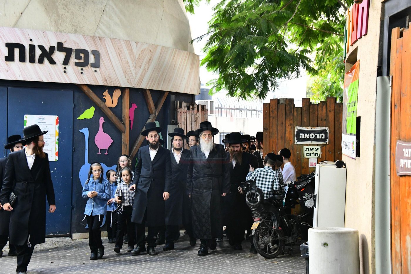 האדמו"ר ממודז'יץ בתשליך | צילום: שוקי לרר