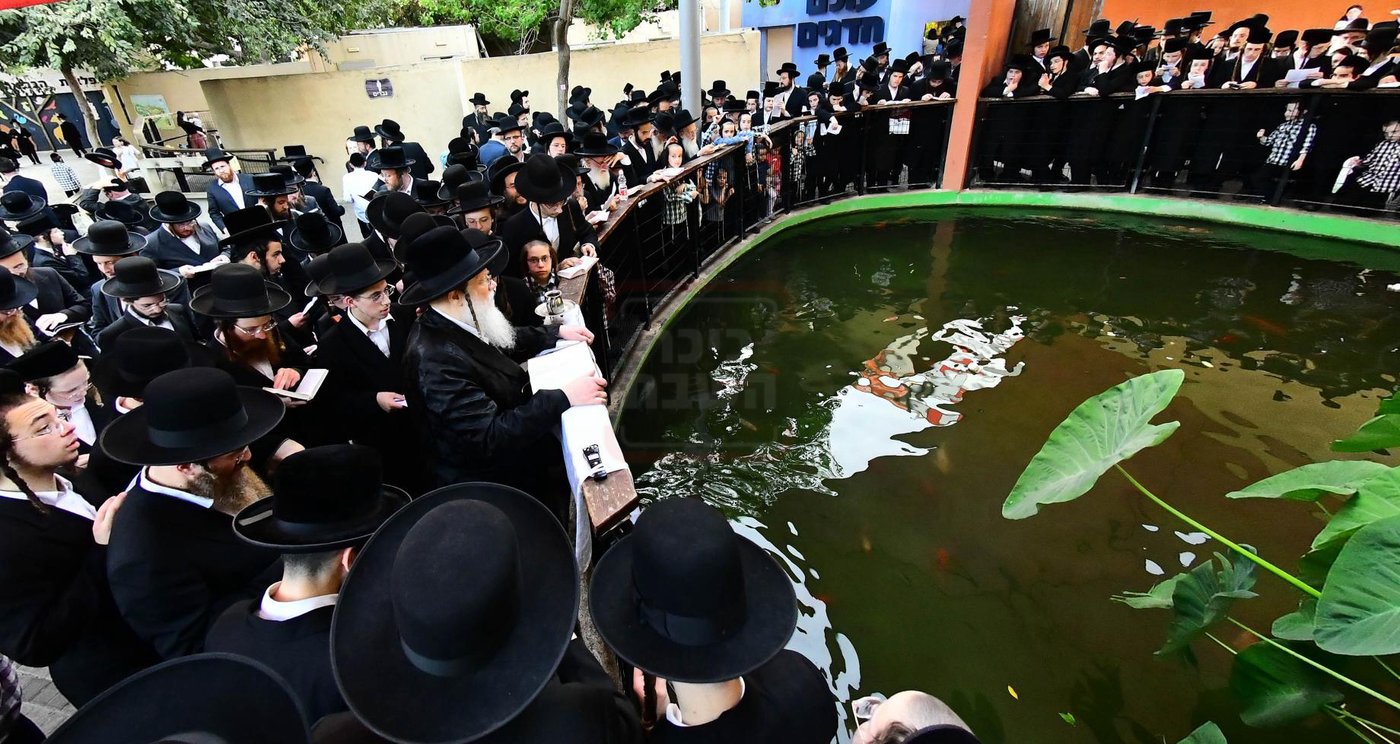 האדמו"ר ממודז'יץ  בתשליך | צילום: שוקי לרר