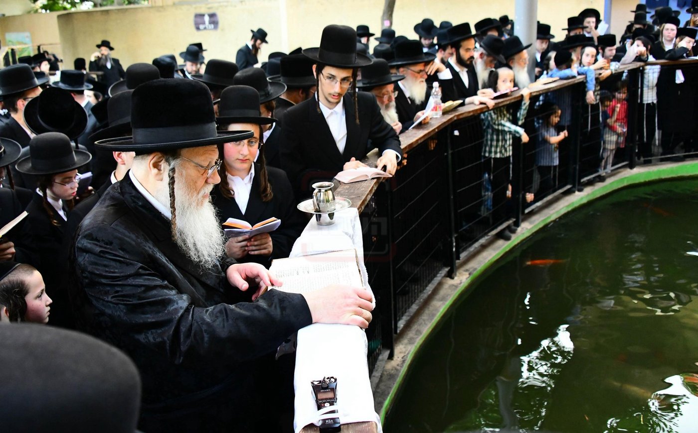 האדמו"ר ממודז'יץ בתשליך | צילום: שוקי לרר