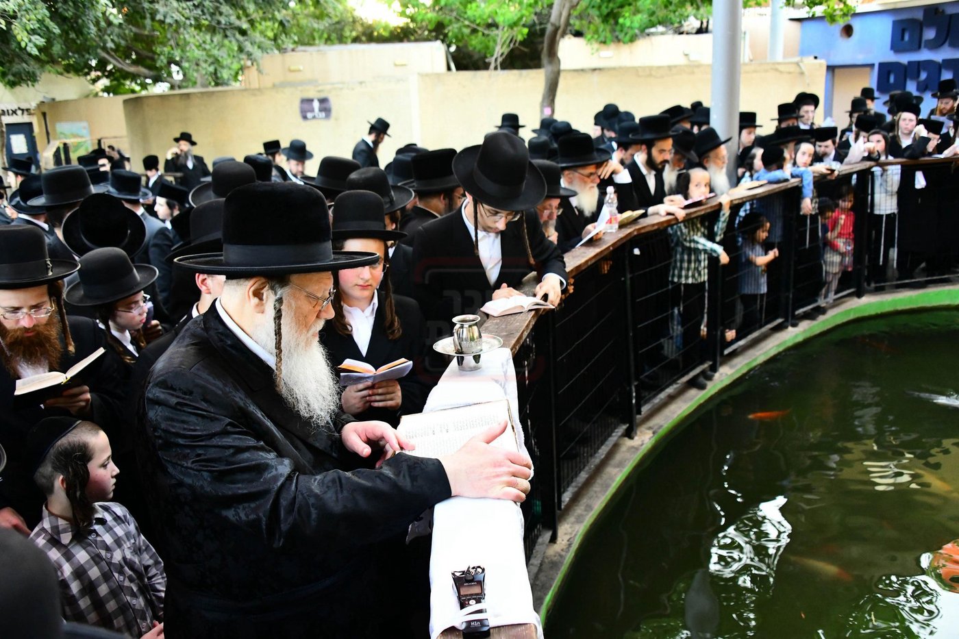 האדמו"ר ממודז'יץ  בתשליך | צילום: שוקי לרר
