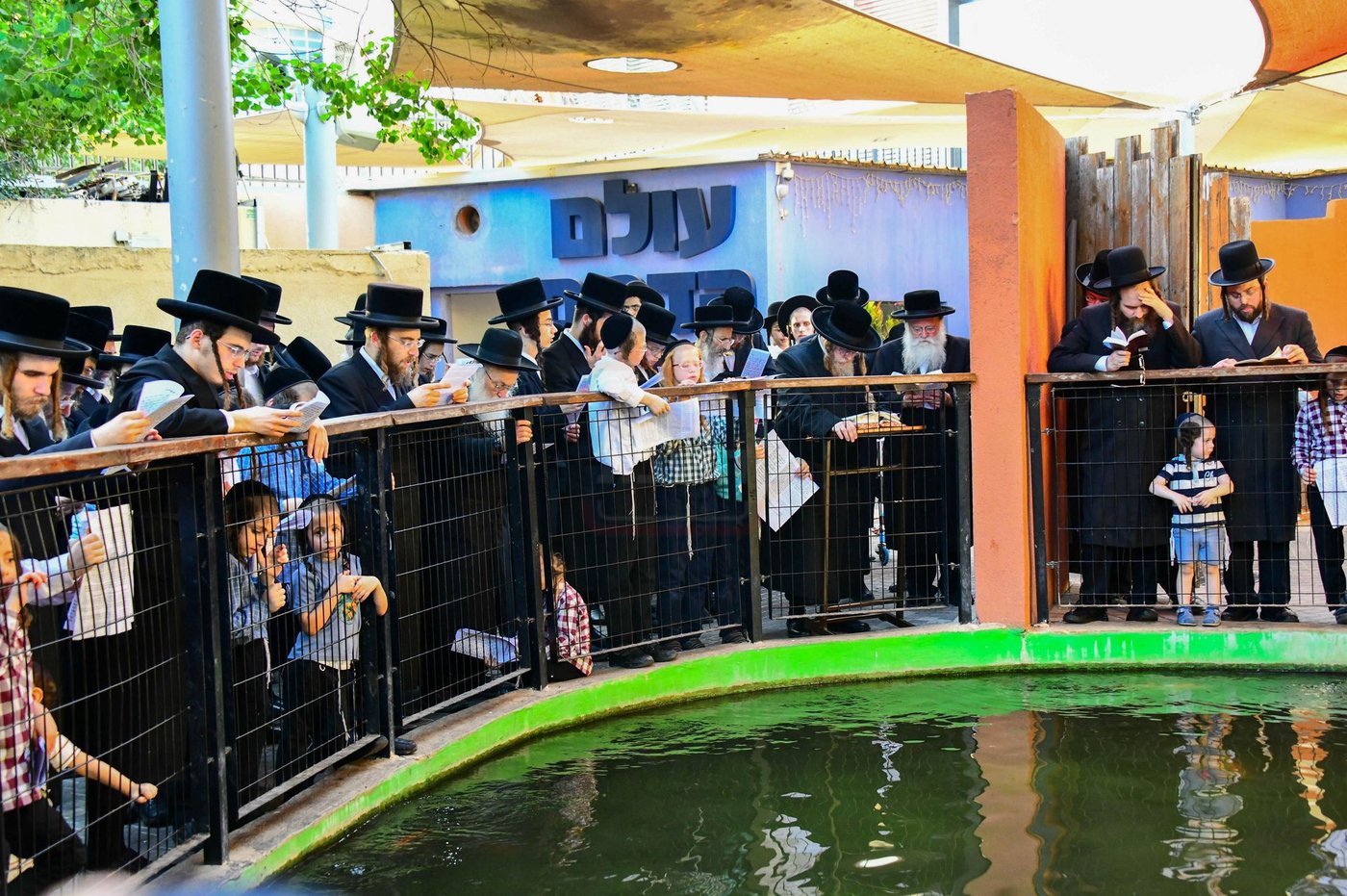 האדמו"ר משומרי אמונים שליט"א בתשליך