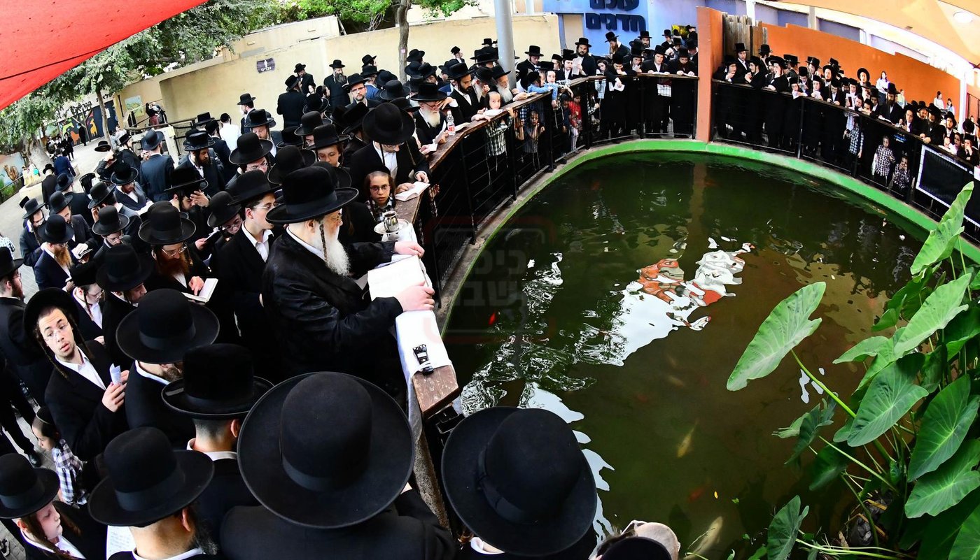 האדמו"ר ממודז'יץ בתשליך | צילום: שוקי לרר