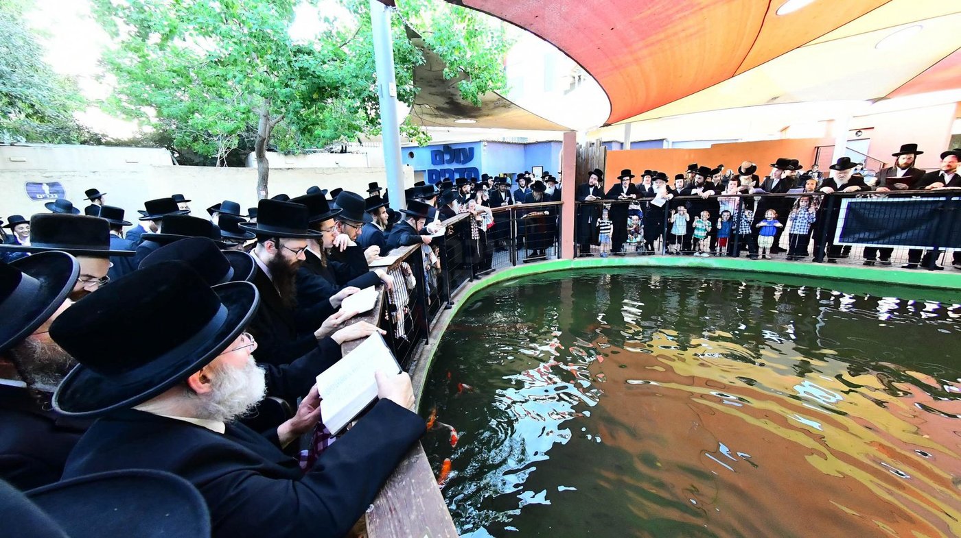 האדמו"ר משומרי אמונים שליט"א בתשליך