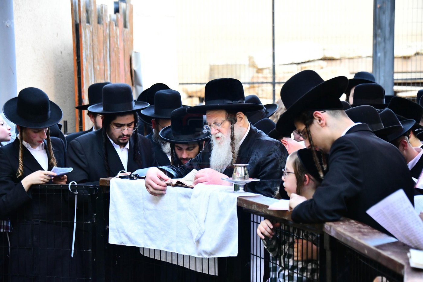 האדמו"ר ממודז'יץ  בתשליך | צילום: שוקי לרר