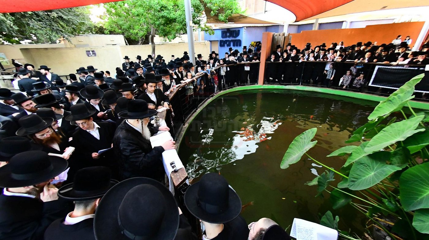 האדמו"ר ממודז'יץ בתשליך | צילום: שוקי לרר