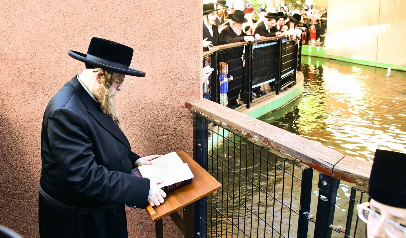 האדמו"ר משומרי אמונים בתשליך