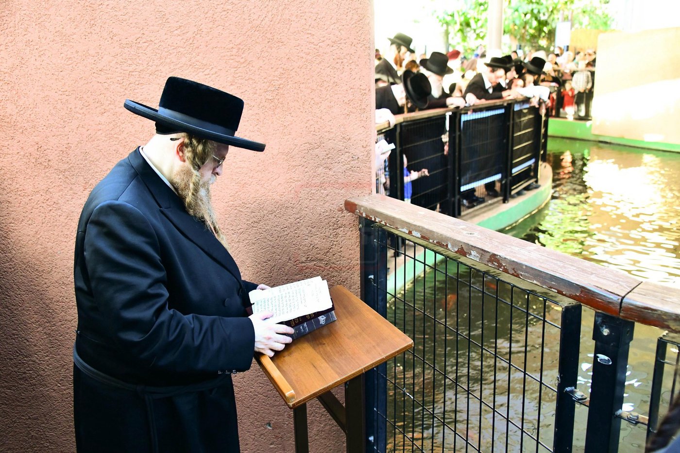 האדמו"ר משומרי אמונים שליט"א בתשליך