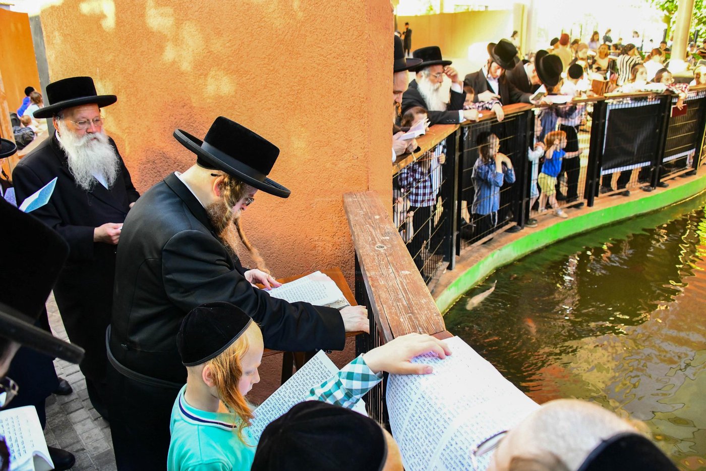 האדמו"ר משומרי אמונים שליט"א בתשליך