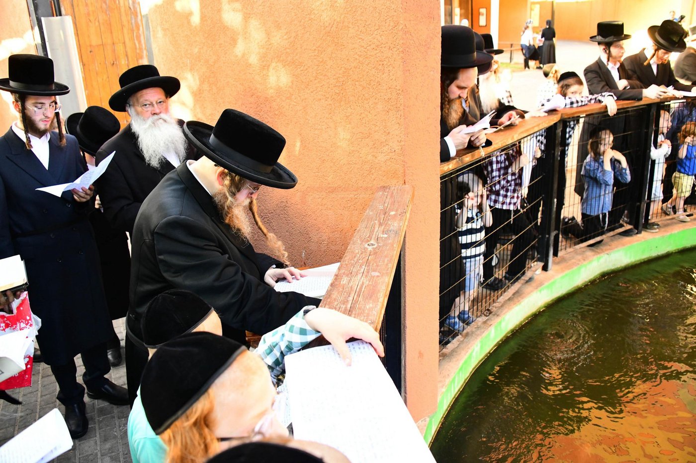 האדמו"ר משומרי אמונים שליט"א בתשליך