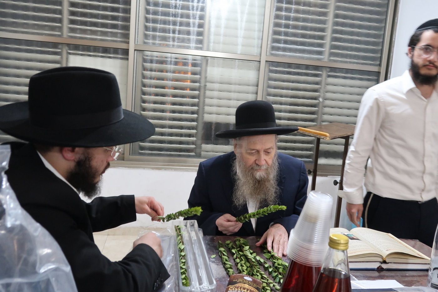 הגר"ד בצרי זצ"ל בבדיקת הדסים לסוכות תשפ"ז | צילום: י. פריד
