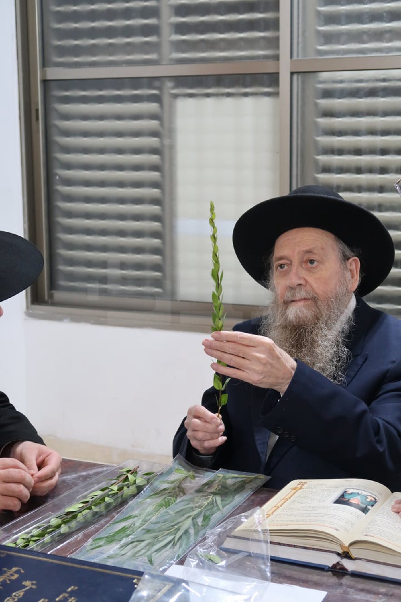 הגר"ד בצרי זצ"ל בבדיקת הדסים לסוכות תשפ"ז | צילום: י. פריד